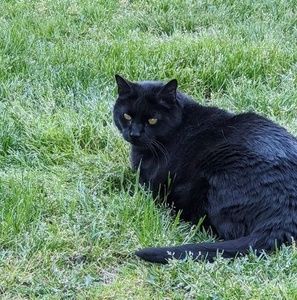 Meet your Posher, Jason